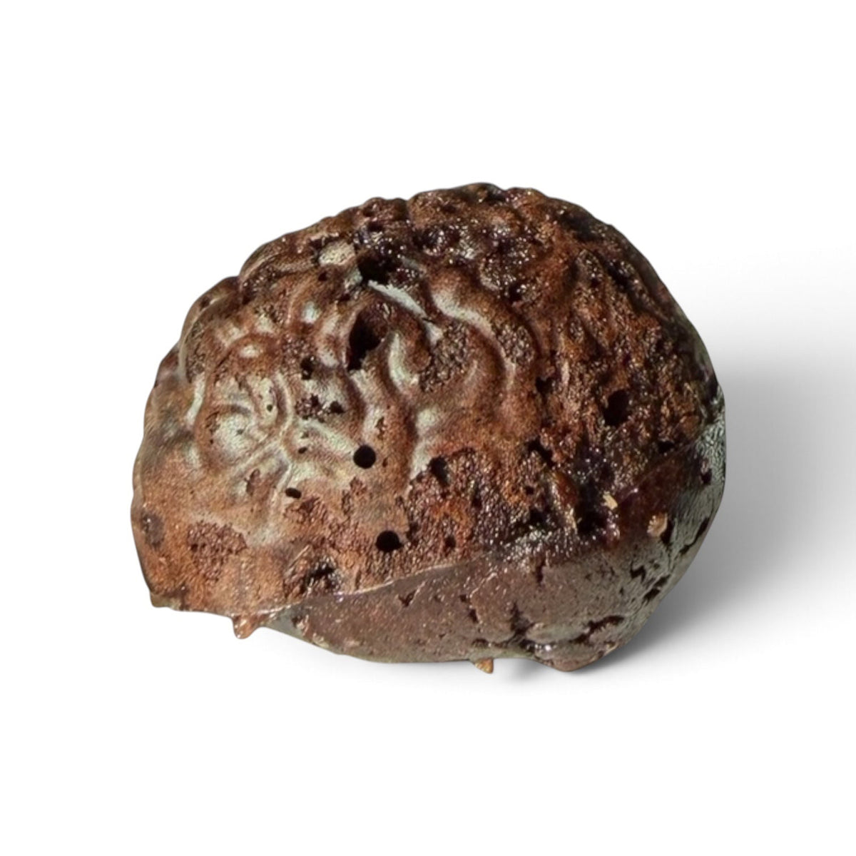 Protein Brownie